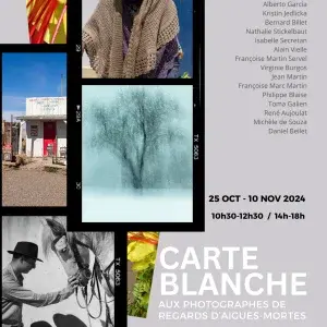 Expo carte blanche aigues mortes 23701